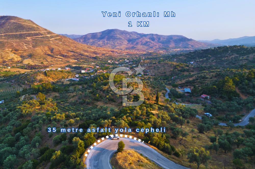 Orhanlı Köyünde Fırsat Konumda 10.550m2 Zeytin Ağaçlı Tarla