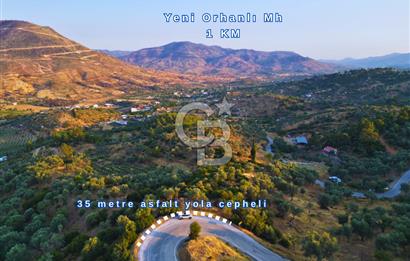 Orhanlı Köyünde Fırsat Konumda 10.550m2 Zeytin Ağaçlı Tarla