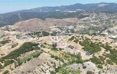 İzmir Bornova Beşyol da Yatırımlık Satılık 551 m2 Hisseli Tarla