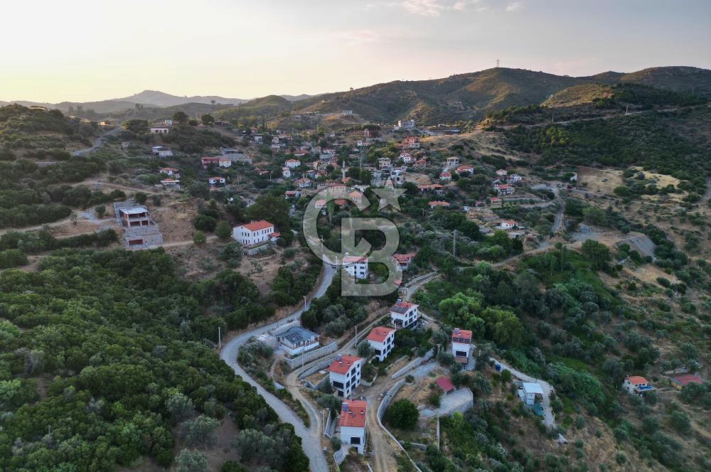 Orhanlı Köyünde Fırsat Konumda 10.550m2 Zeytin Ağaçlı Tarla