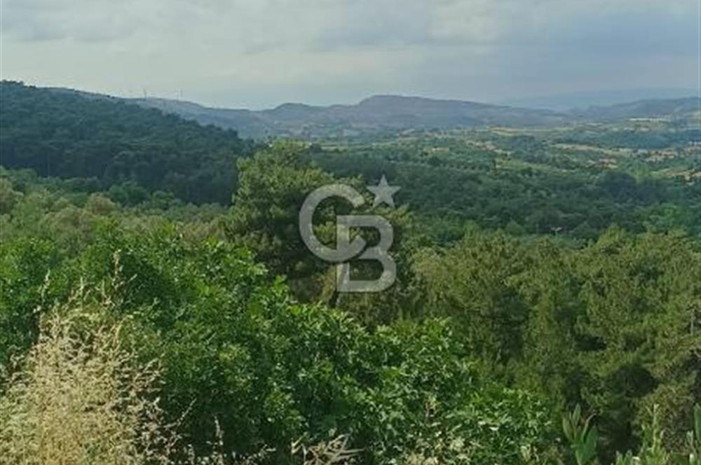 1244 m2 izmir bergama ürkütler köyünde imarlı arsa