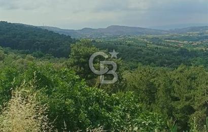 1244 m2 izmir bergama ürkütler köyünde imarlı arsa
