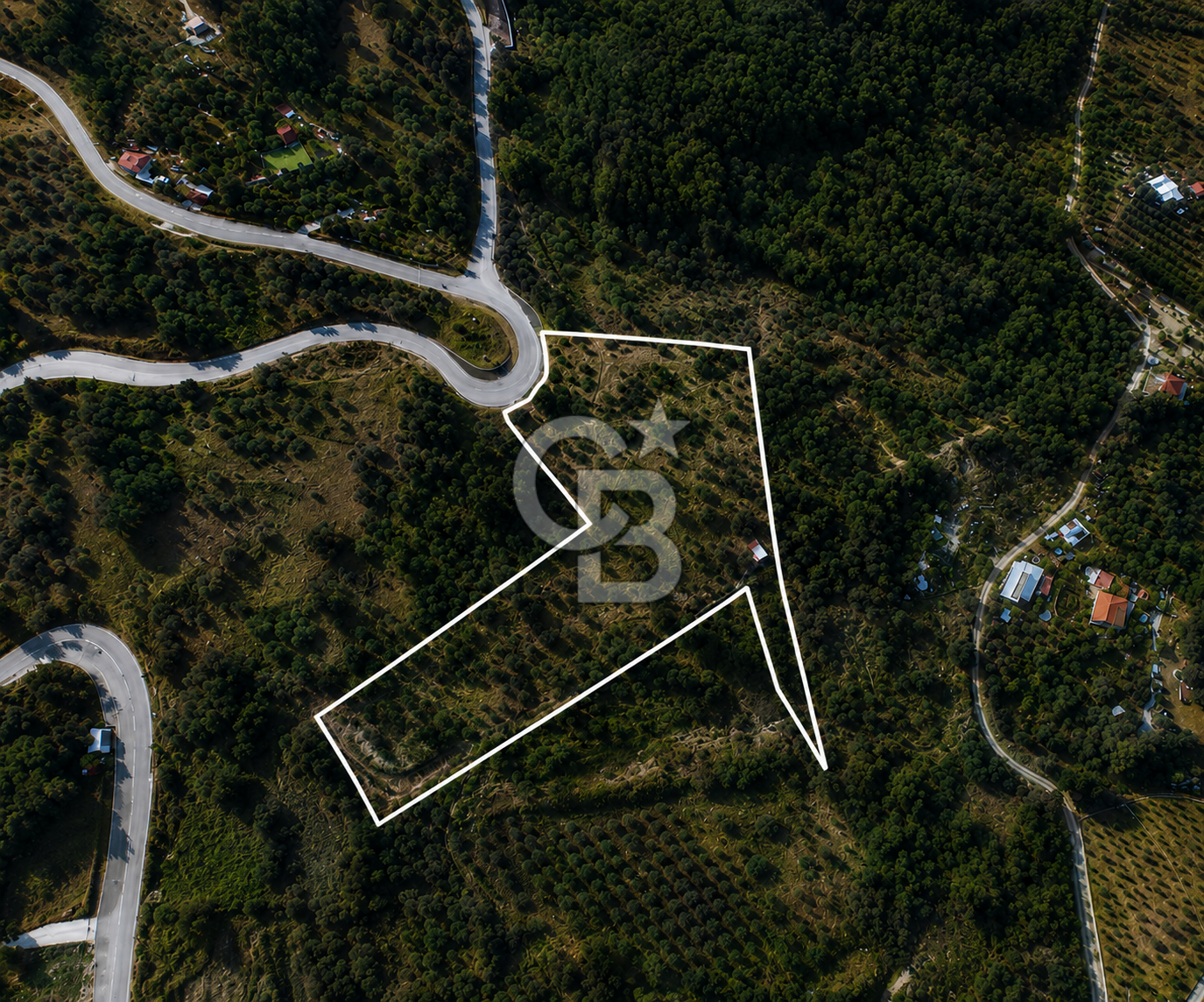 Orhanlı Köyünde Fırsat Konumda 10.550m2 Zeytin Ağaçlı Tarla