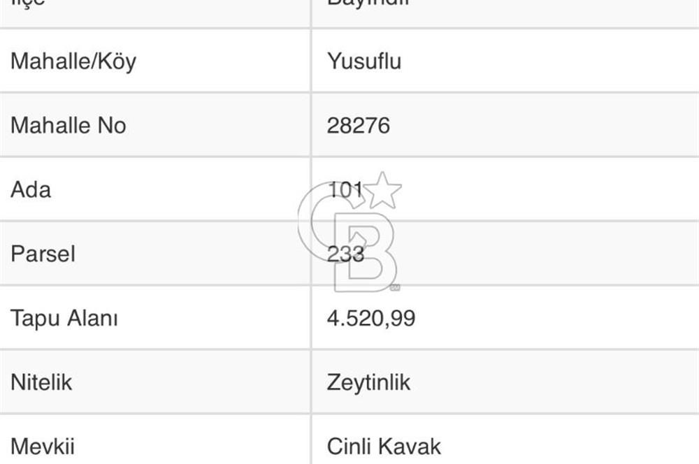 Bayındır Yusuflu’da Yatırımlık   4521m2 Satılık Zeytinlik 