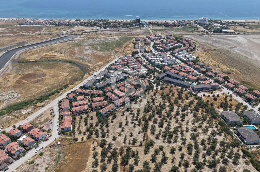 AYVALIK KÜÇÜKKÖY'DE DENİZE 500M MESAFEDE SATILIK ZEYTİNLİK