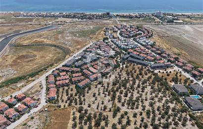AYVALIK KÜÇÜKKÖY'DE DENİZE 500M MESAFEDE SATILIK ZEYTİNLİK