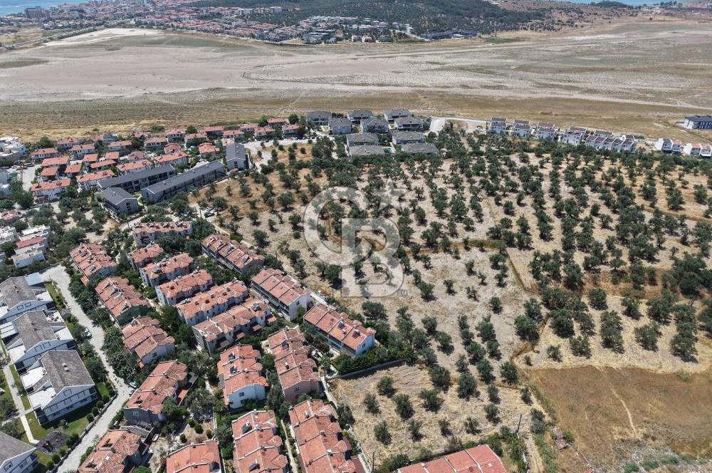 AYVALIK KÜÇÜKKÖY'DE DENİZE 500M MESAFEDE SATILIK ZEYTİNLİK