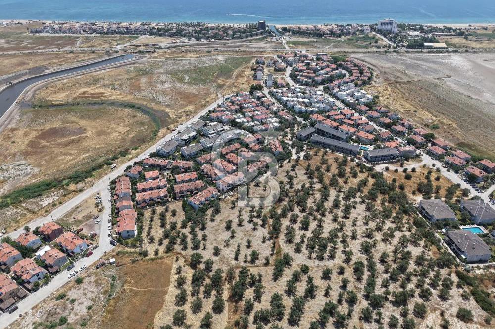 AYVALIK KÜÇÜKKÖY'DE DENİZE 500M MESAFEDE SATILIK ZEYTİNLİK