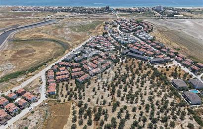 AYVALIK KÜÇÜKKÖY'DE DENİZE 500M MESAFEDE SATILIK ZEYTİNLİK
