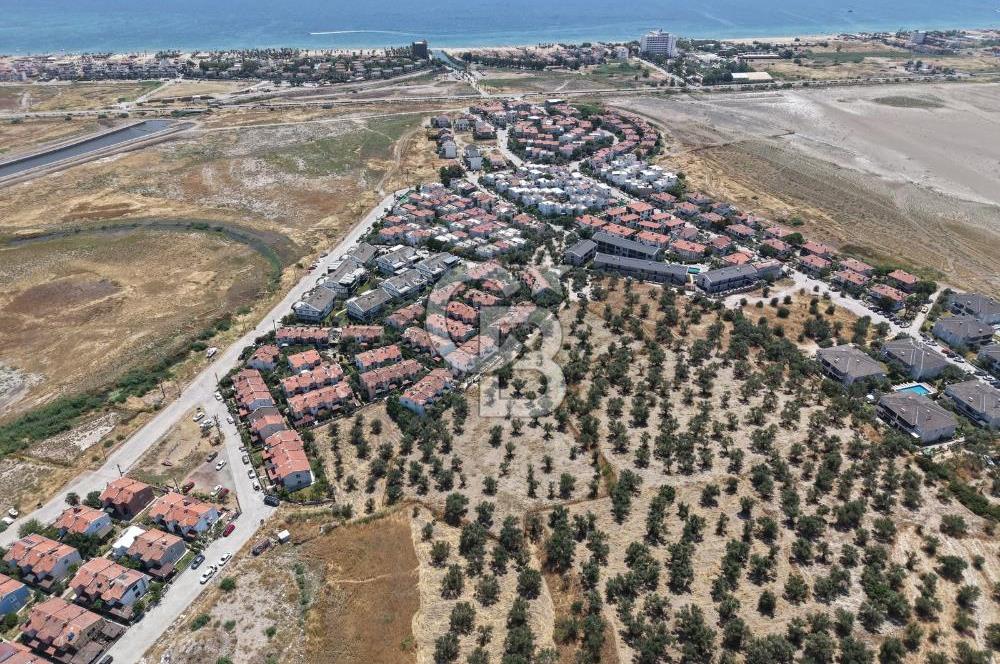 AYVALIK KÜÇÜKKÖY'DE DENİZE 500M MESAFEDE SATILIK ZEYTİNLİK