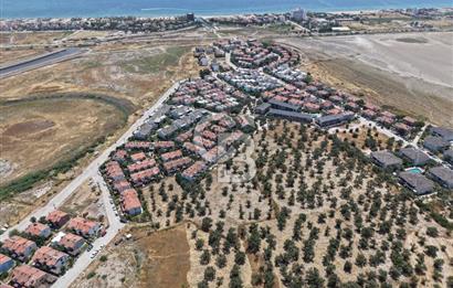 AYVALIK KÜÇÜKKÖY'DE DENİZE 500M MESAFEDE SATILIK ZEYTİNLİK