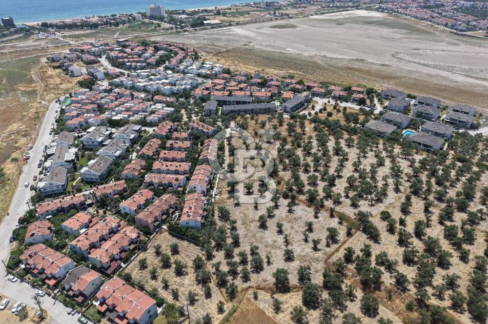AYVALIK KÜÇÜKKÖY'DE DENİZE 500M MESAFEDE SATILIK ZEYTİNLİK