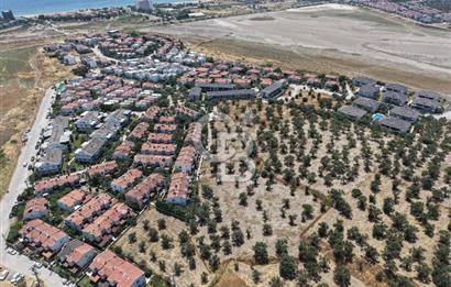 AYVALIK KÜÇÜKKÖY'DE DENİZE 500M MESAFEDE SATILIK ZEYTİNLİK