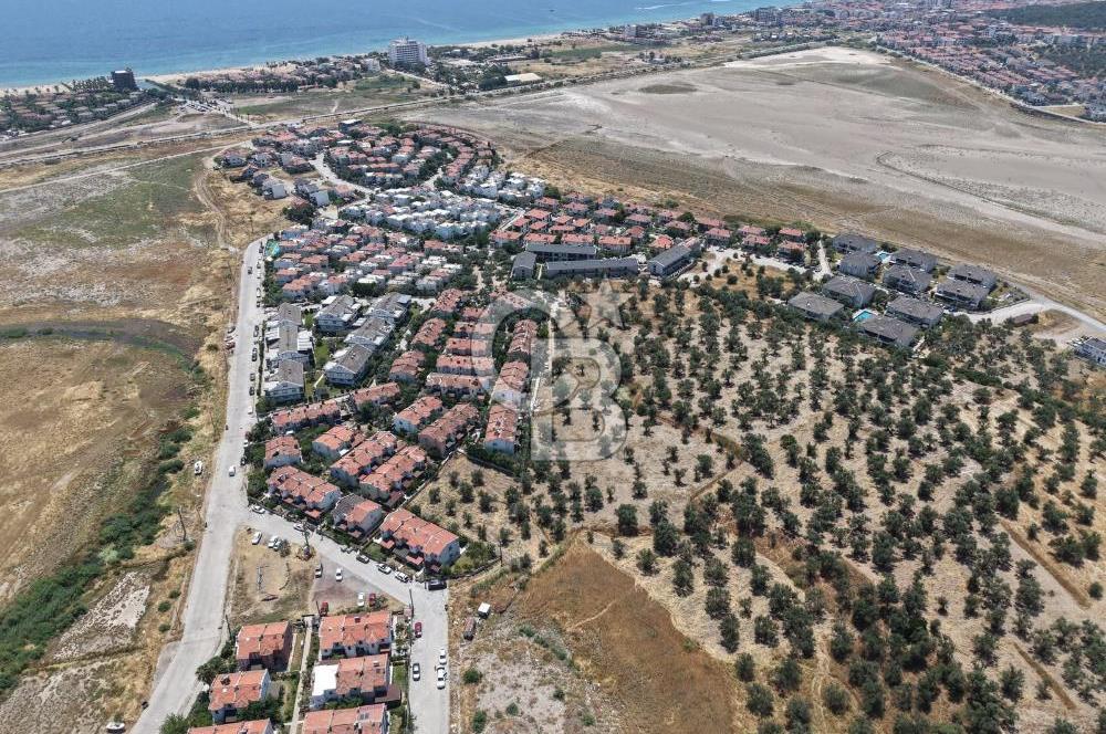 AYVALIK KÜÇÜKKÖY'DE DENİZE 500M MESAFEDE SATILIK ZEYTİNLİK