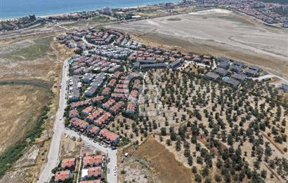 AYVALIK KÜÇÜKKÖY'DE DENİZE 500M MESAFEDE SATILIK ZEYTİNLİK