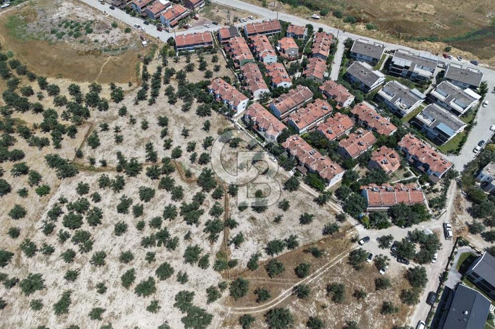 AYVALIK KÜÇÜKKÖY'DE DENİZE 500M MESAFEDE SATILIK ZEYTİNLİK