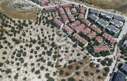 AYVALIK KÜÇÜKKÖY'DE DENİZE 500M MESAFEDE SATILIK ZEYTİNLİK