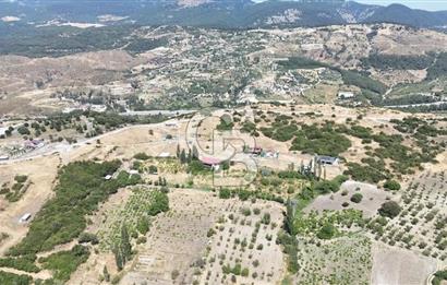 İzmir Bornova Beşyol da Yatırımlık Satılık 551 m2 Hisseli Tarla