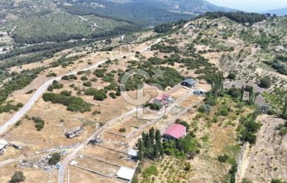 İzmir Bornova Beşyol da Yatırımlık Satılık 551 m2 Hisseli Tarla