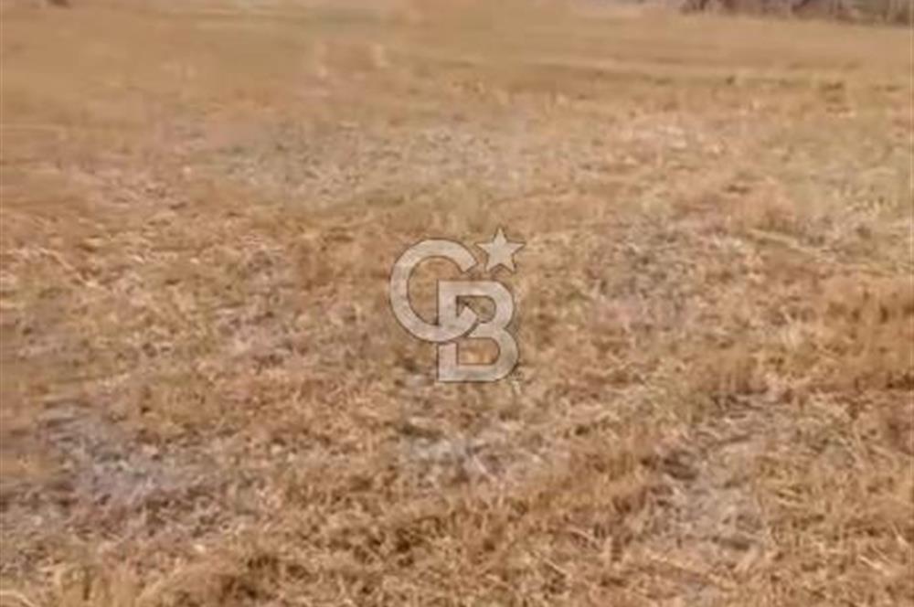 Kutahya merkezde koy yerlesik alaninda 557 m2 arsa