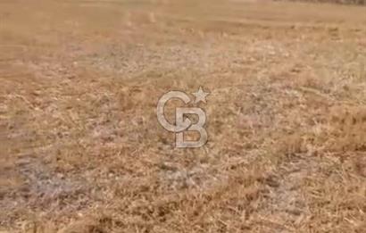 Kutahya merkezde koy yerlesik alaninda 557 m2 arsa