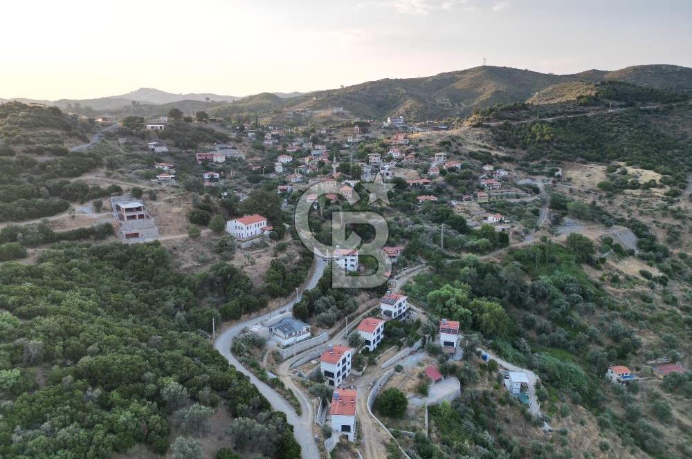 Orhanlı Köyünde Fırsat Konumda 10.550m2 Zeytin Ağaçlı Tarla