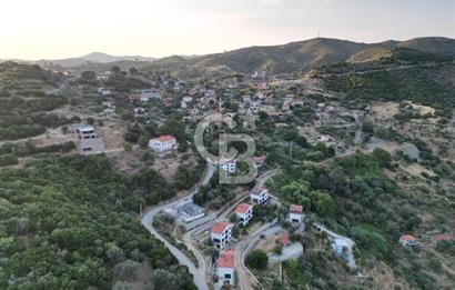 Orhanlı Köyünde Fırsat Konumda 10.550m2 Zeytin Ağaçlı Tarla