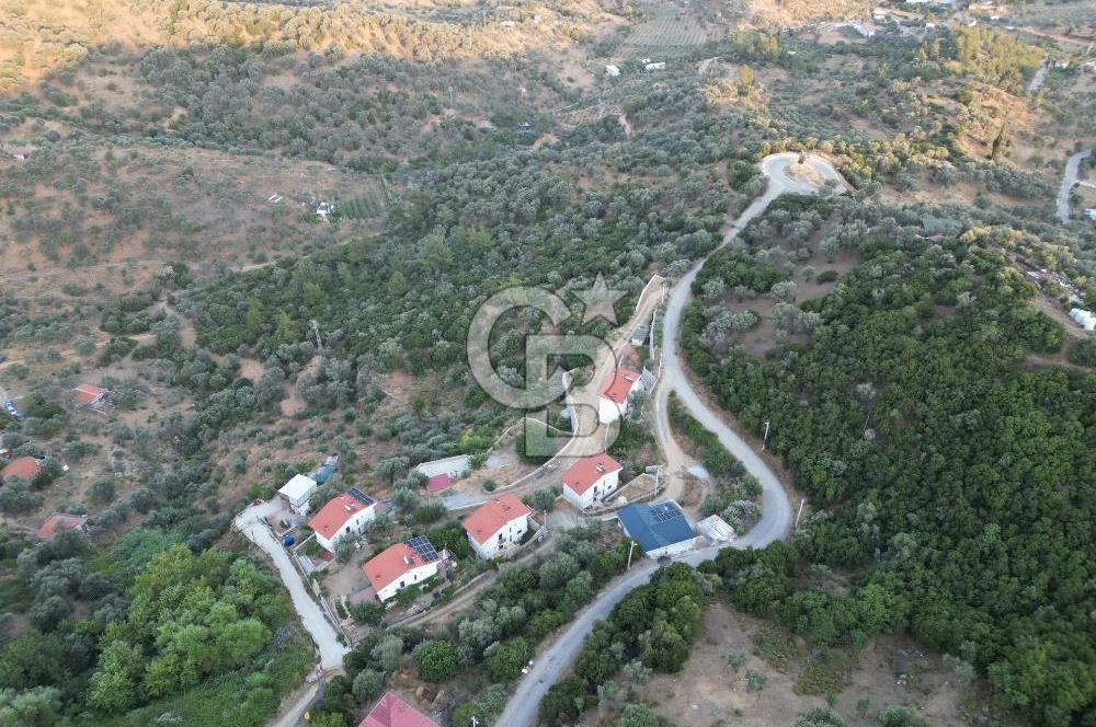 Orhanlı Köyünde Fırsat Konumda 10.550m2 Zeytin Ağaçlı Tarla