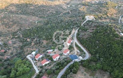 Orhanlı Köyünde Fırsat Konumda 10.550m2 Zeytin Ağaçlı Tarla