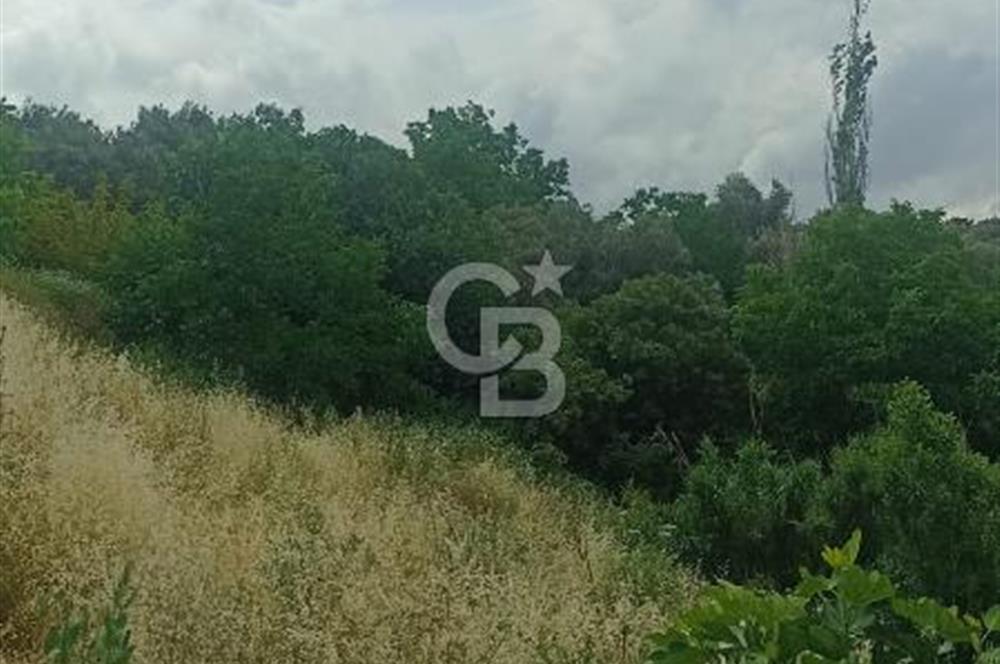 1244 m2 izmir bergama ürkütler köyünde imarlı arsa