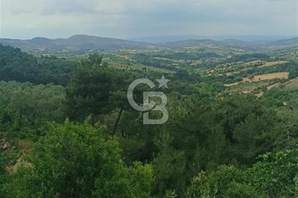 1244 m2 izmir bergama ürkütler köyünde imarlı arsa