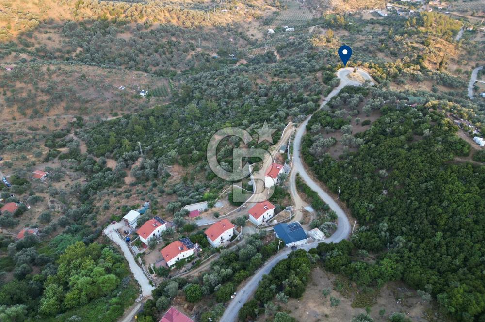 Orhanlı Köyünde Fırsat Konumda 10.550m2 Zeytin Ağaçlı Tarla