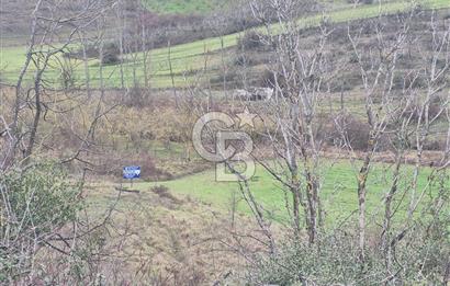 Körfez Yarımca'da Konut İmarlı 801 M2 Konut Alanı İmarlı Arsa