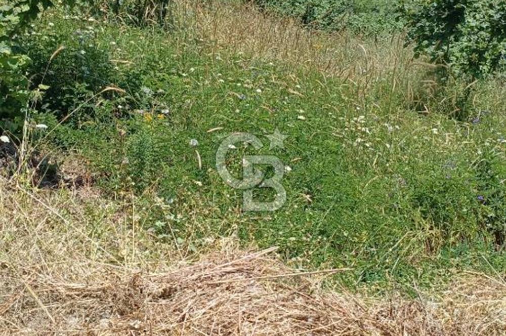 Çatalca Kabakcada Satılık Tarla