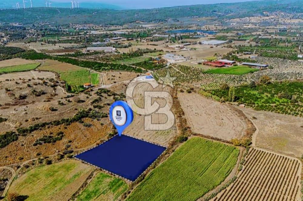 İzmir Seferihisar'da Yatırıma Uygun Satılık Tarla