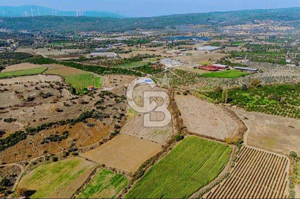 İzmir Seferihisar'da Yatırıma Uygun Satılık Tarla