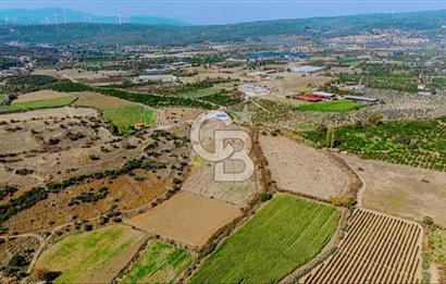 İzmir Seferihisar'da Yatırıma Uygun Satılık Tarla