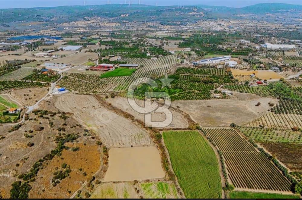İzmir Seferihisar'da Yatırıma Uygun Satılık Tarla