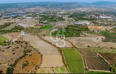 İzmir Seferihisar'da Yatırıma Uygun Satılık Tarla