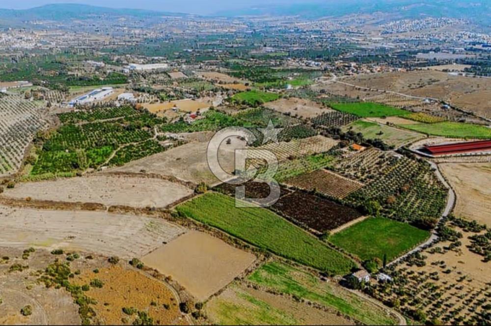 İzmir Seferihisar'da Yatırıma Uygun Satılık Tarla