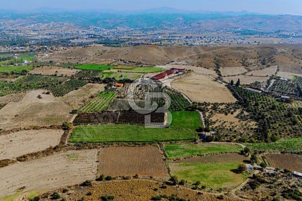 İzmir Seferihisar'da Yatırıma Uygun Satılık Tarla