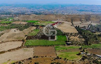 İzmir Seferihisar'da Yatırıma Uygun Satılık Tarla