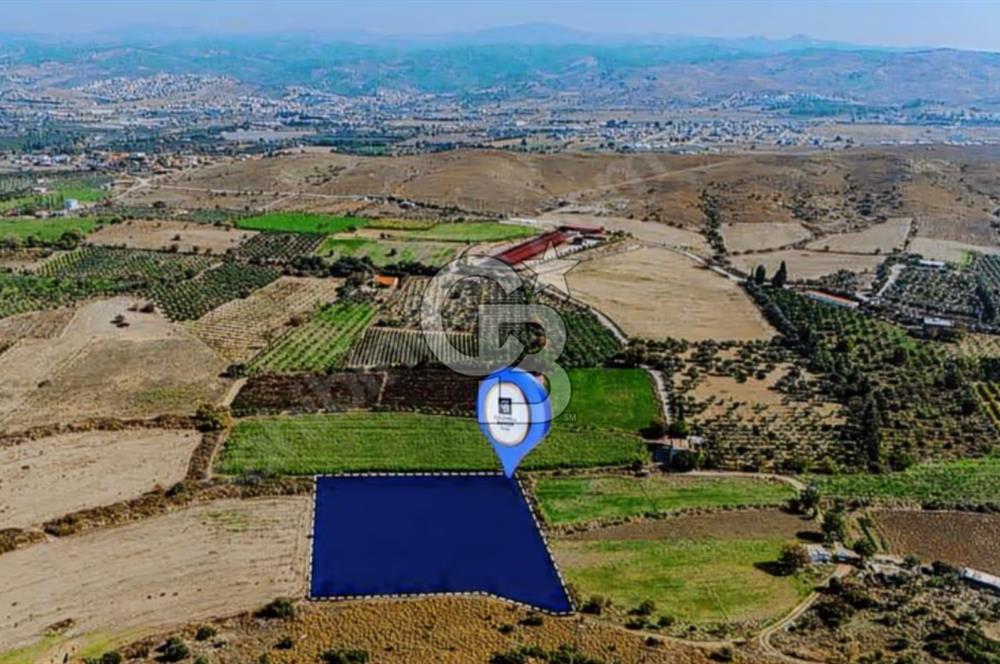 İzmir Seferihisar'da Yatırıma Uygun Satılık Tarla