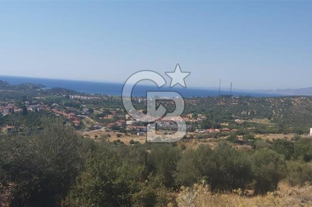 Dikili Bademlide Deniz Manzaralı Satılık Arsa
