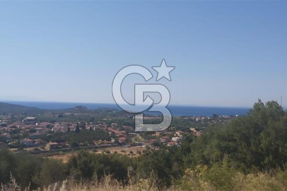 Dikili Bademlide Deniz Manzaralı Satılık Arsa