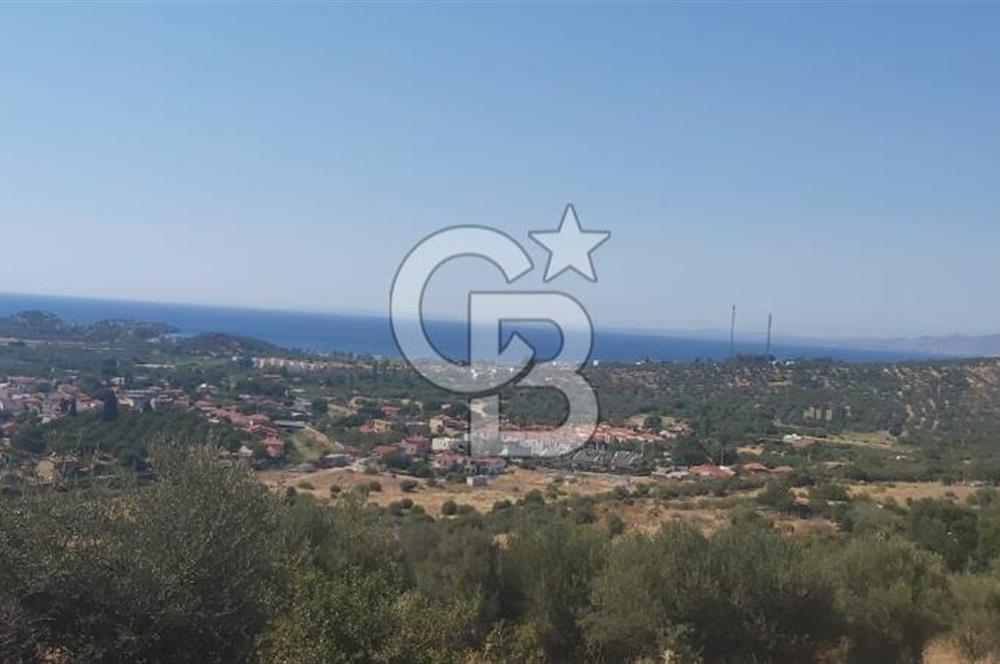Dikili Bademlide Deniz Manzaralı Satılık Arsa