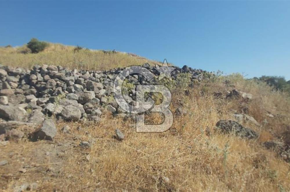 Dikili Bademlide Deniz Manzaralı Satılık Arsa