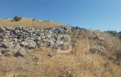 Dikili Bademlide Deniz Manzaralı Satılık Arsa