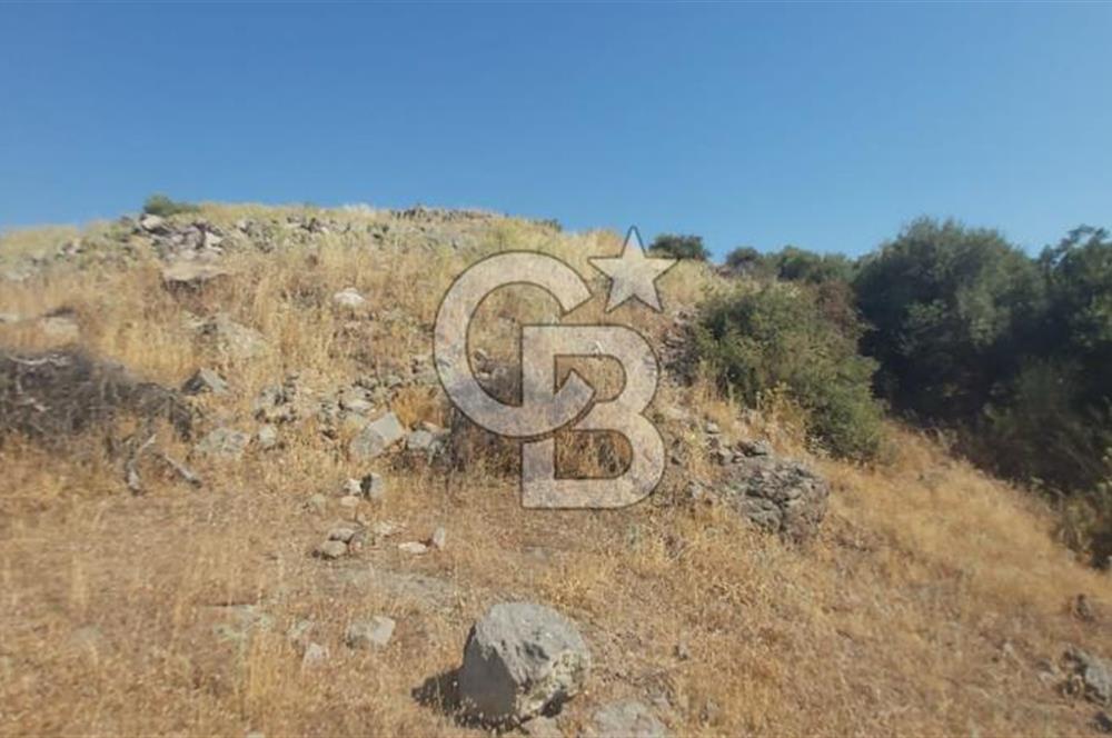 Dikili Bademlide Deniz Manzaralı Satılık Arsa