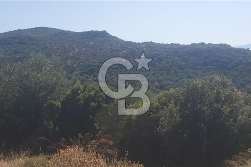 Dikili Bademlide Deniz Manzaralı Satılık Arsa